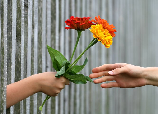 Hand Giving a Flower Bouquet to Someone